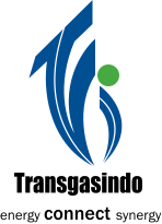 logo-tgi (1)
